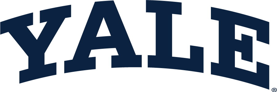 Yale Bulldogs 1935-Pres Wordmark Logo v2 iron on transfers for T-shirts